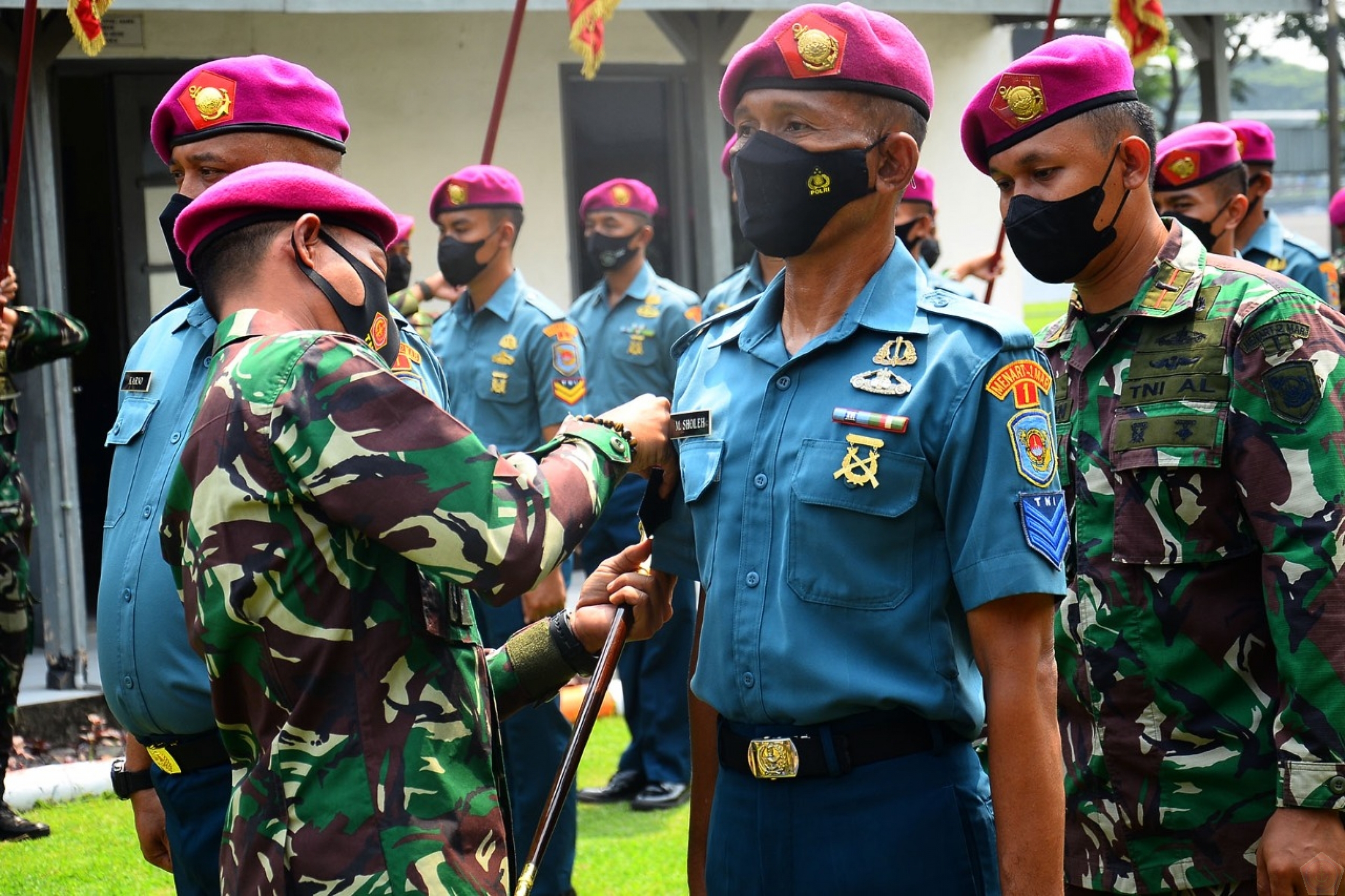 Sex Dom 2 Elena Berkova bilan